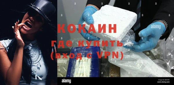 ПСИЛОЦИБИНОВЫЕ ГРИБЫ Горнозаводск