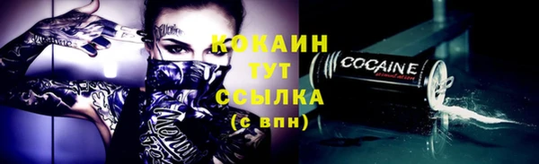 гашик Вяземский
