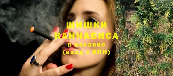 ПСИЛОЦИБИНОВЫЕ ГРИБЫ Горнозаводск