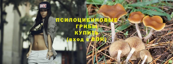 ПСИЛОЦИБИНОВЫЕ ГРИБЫ Горнозаводск