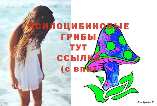 ПСИЛОЦИБИНОВЫЕ ГРИБЫ Горнозаводск