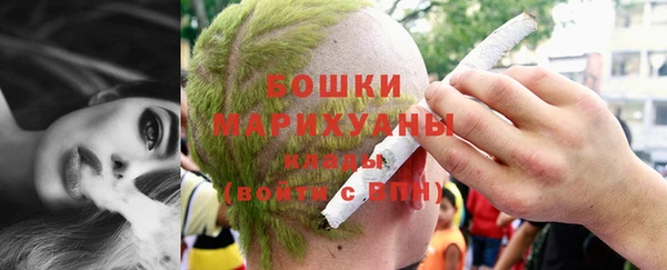 гашик Вяземский