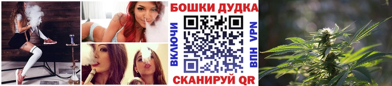 Купить где  Ефремов  Бошки Шишки сатива 